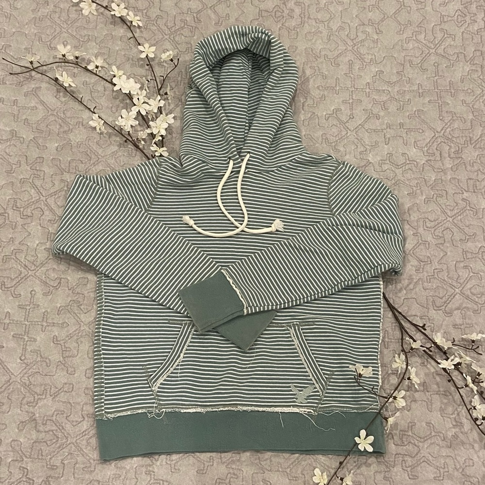 American Eagle Outfitters striped hoodie